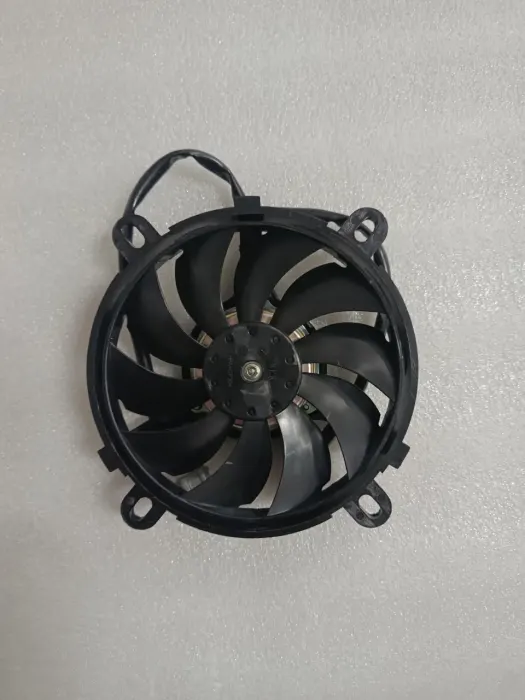 Fan